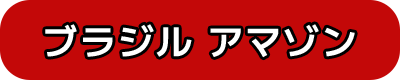 ブラジル アマゾン